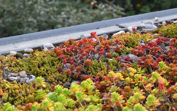 the cost of Whepstead green roof installation