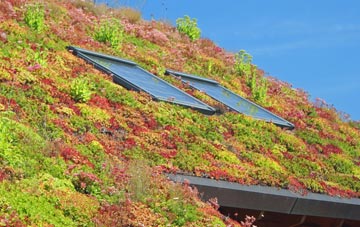 Whepstead living roof systems